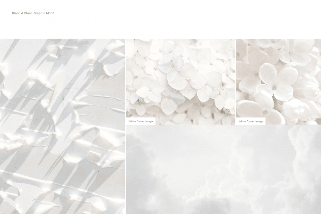 BLANC BI 디자인 - 2