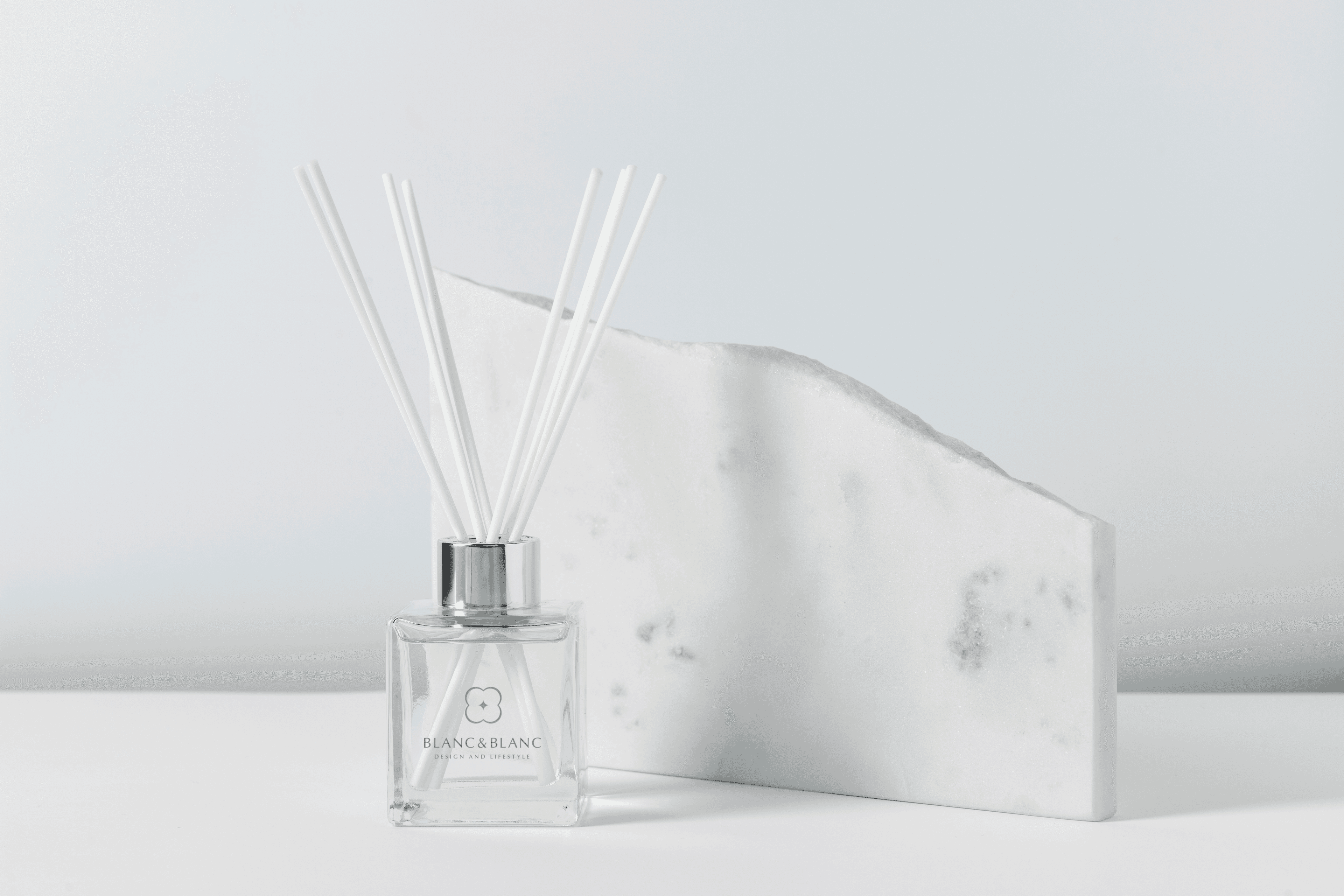 BLANC&BLANC BI 디자인