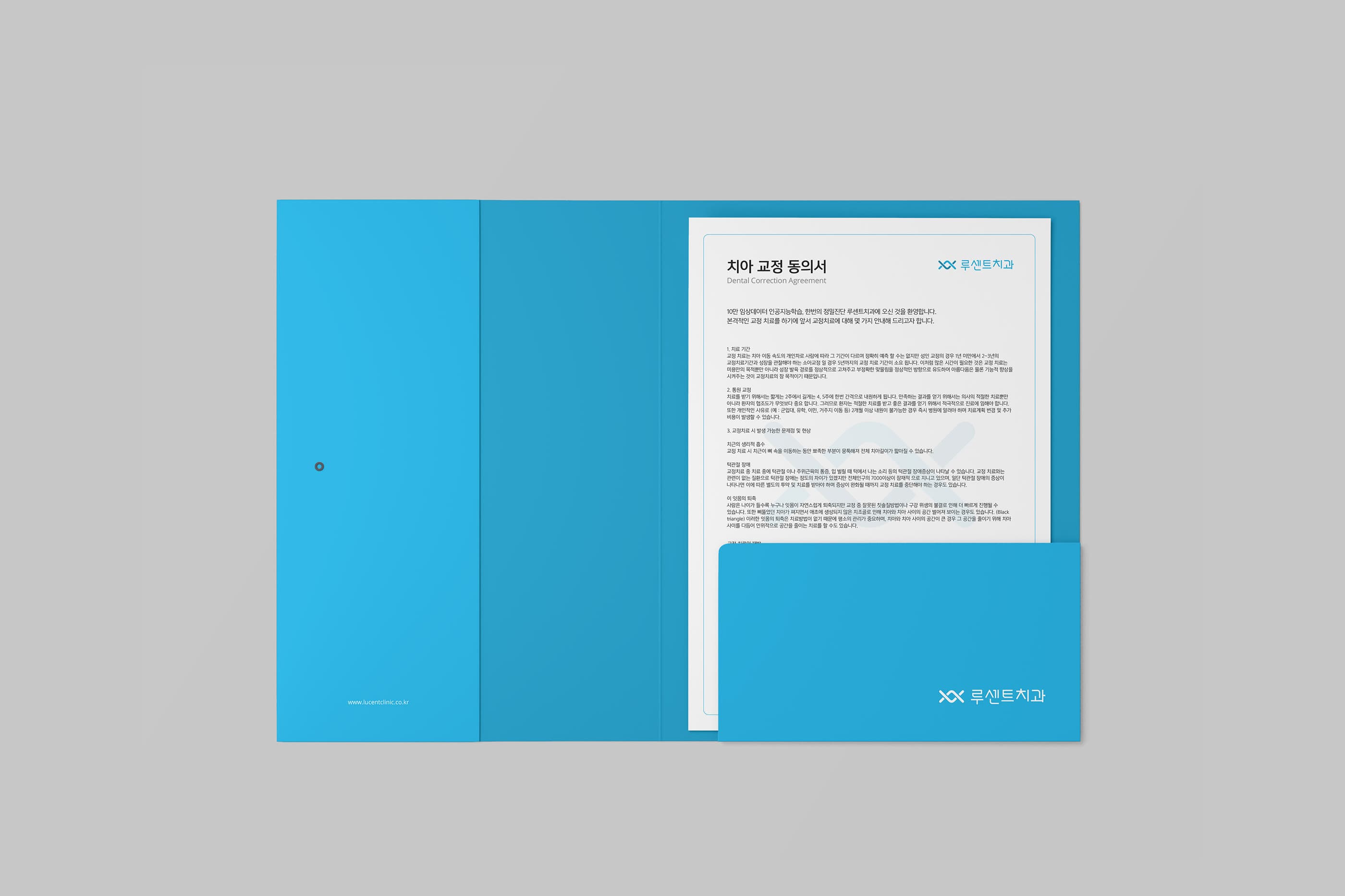 LUCENT BI 디자인 - 4