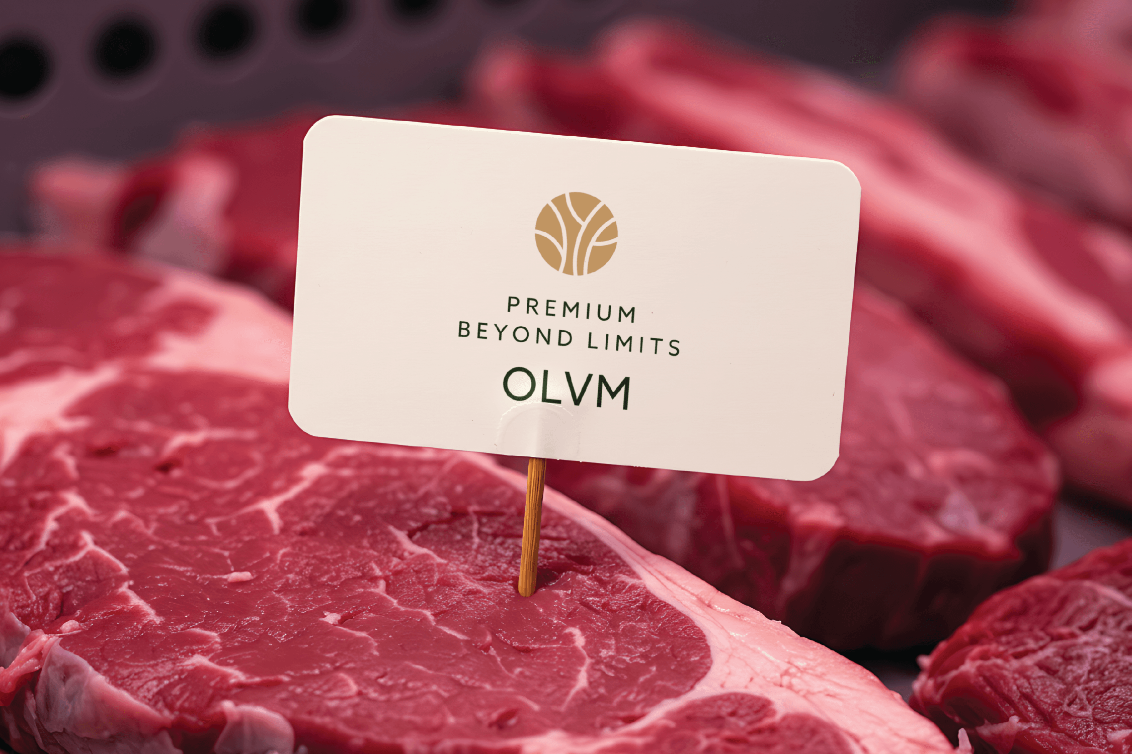 올리미트 BI 디자인